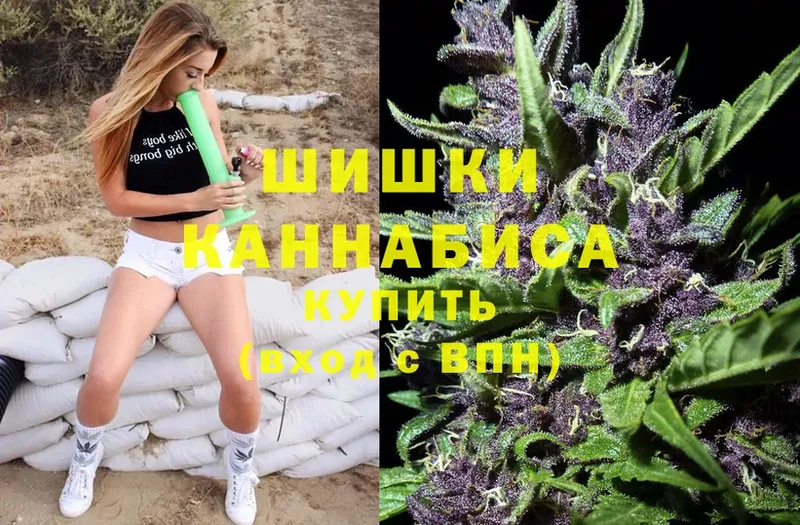 где можно купить   Болхов  Марихуана индика 